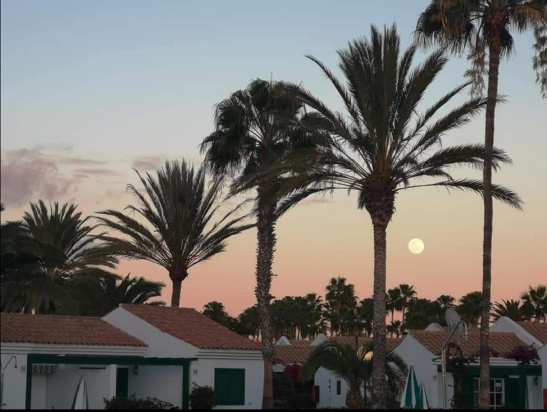 Maspalomas Casa La Loba Eksteriør bilde